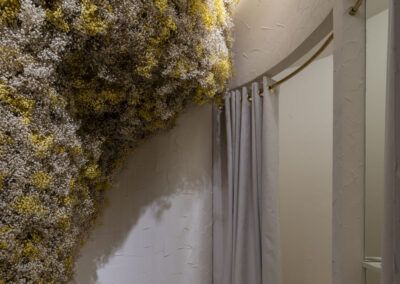 Auga de Maio Coruña