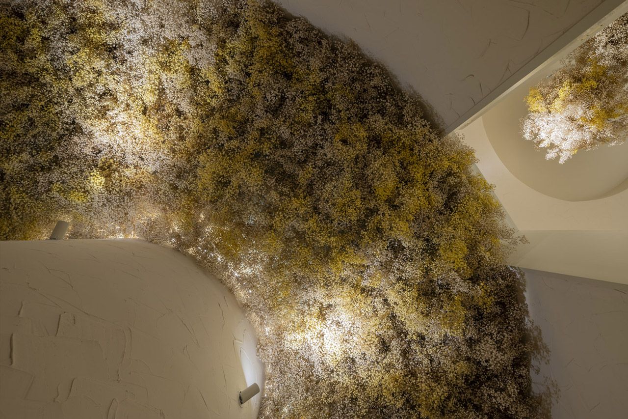 augademaio_acorunha1 México44